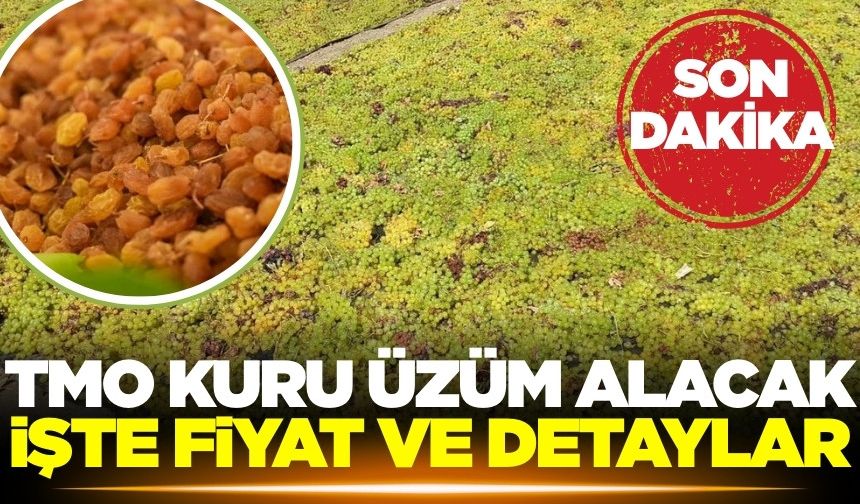 TMO'dan beklenen kuru üzüm açıklaması geldi!