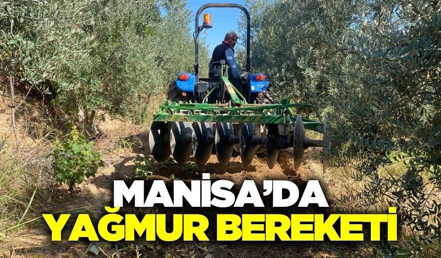Alaşehir'de çiftçilerin yağmur sevinci