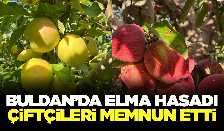 Buldan elmasında verim ve kalite yüz güldürüyor