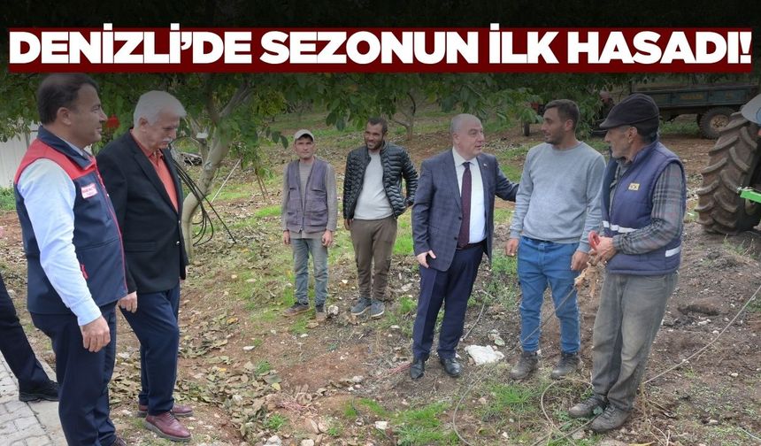 Denizli'de sezonun ilk hasadı yapıldı!