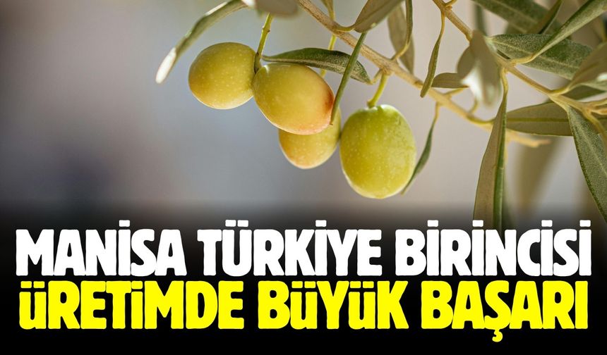 Manisa rekor kırdı! Türkiye birincisi oldu