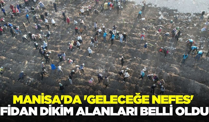 Manisa'da binlerce fidan toprakla buluşacak!
