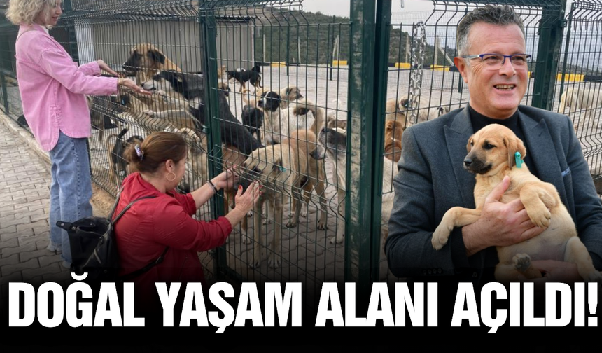 Alaşehir’de can dostları için doğal yaşam alanı hizmete açıldı