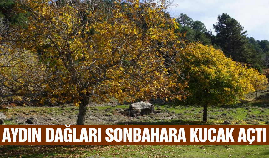 Aydın'da göz kamaştıran sonbahar şöleni