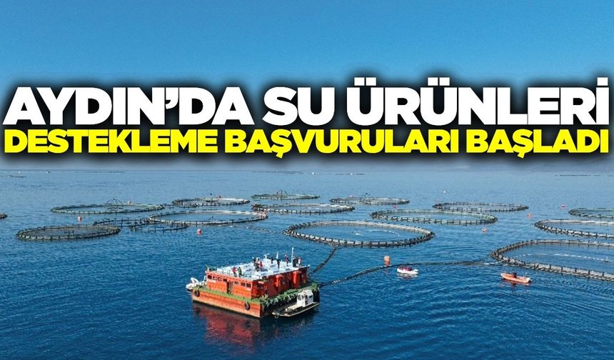 Aydın'da yetiştiricilere uyarı! Son tarihi kaçırmayın