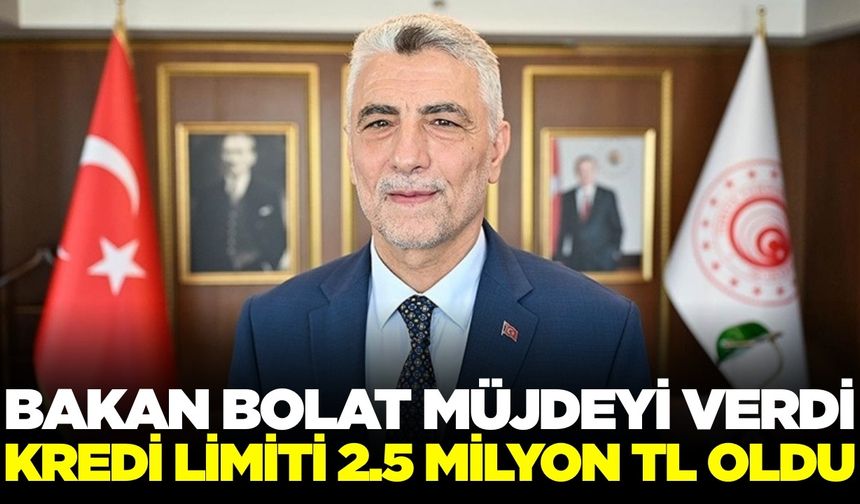 Bakan Bolat: Ekonomi büyüdükçe esnaf kredileri de artıyor