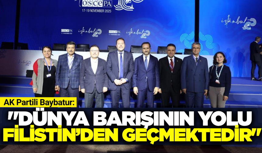 AK Parti Milletvekili Baybatur, AGİT-PA'da kalıcı barış için Filistin'i işaret etti