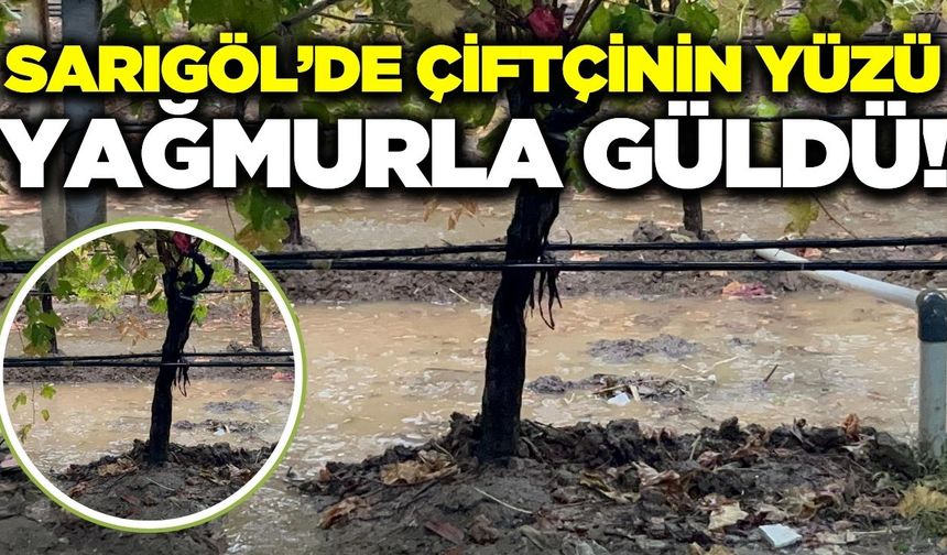 Sarıgöl’de yağışlar üreticinin yüzünü güldürdü