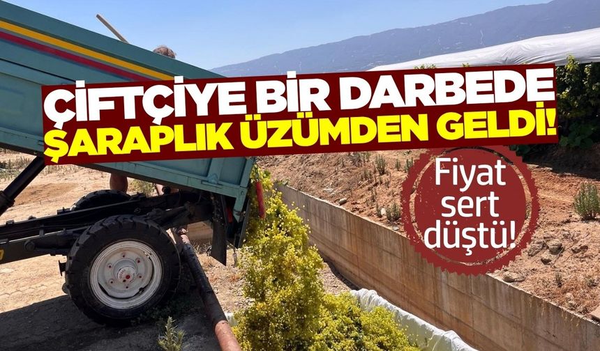Iskarta üzüm fiyatlarında şok düşüş!