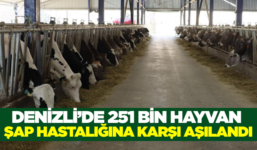 Denizli'de şap hastalığına karşı tedbirler sürüyor!