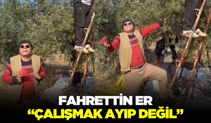 Fahrettin Er'den zeytin toplama felsefesi