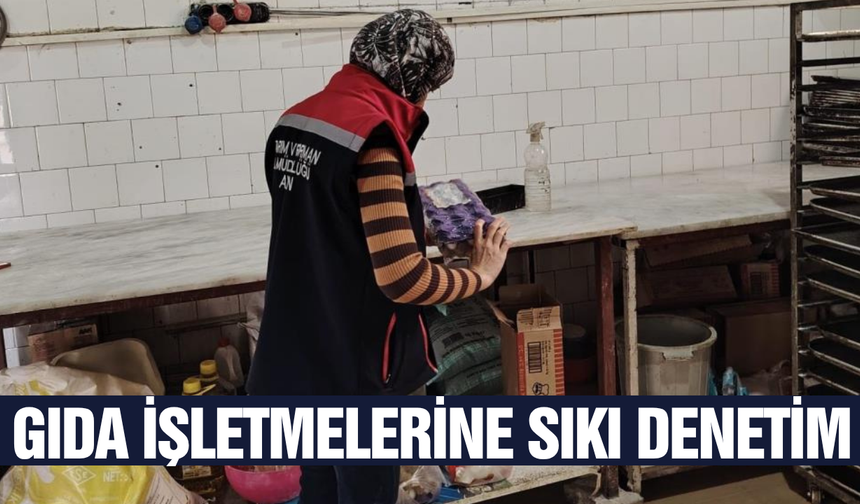 Söke'de gıda işletmeleri mercek altında!