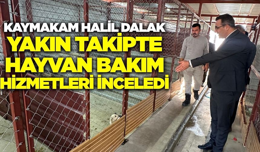 Sarıgöl Kaymakamı hayvan bakım hizmetlerini yerinde inceledi