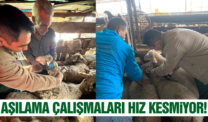 Manisa'da aşılama çalışmaları hız kesmiyor!