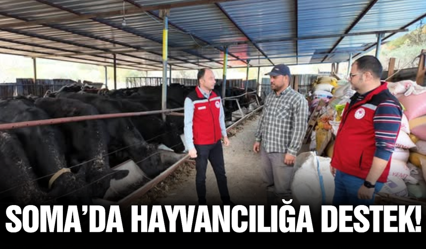 "Kırsalda Destek" projesiyle Soma'da üreticinin yüzü gülüyor!