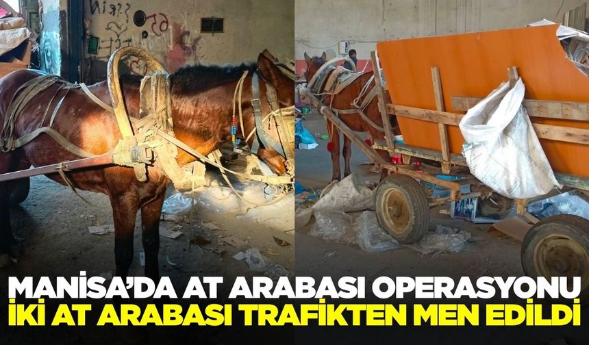 Salihli'de at arabalı hırsızlara operasyon