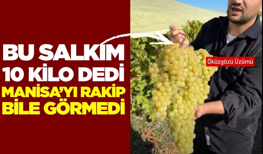 Manisa'ya Elazığ'dan rakip çıktı!