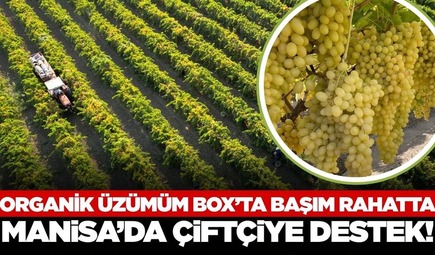 Manisa'da organik üzüm yetiştiriciliğine destek