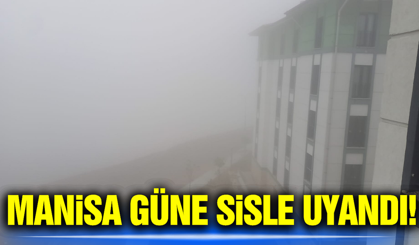 Manisa'da sis etkili oldu!