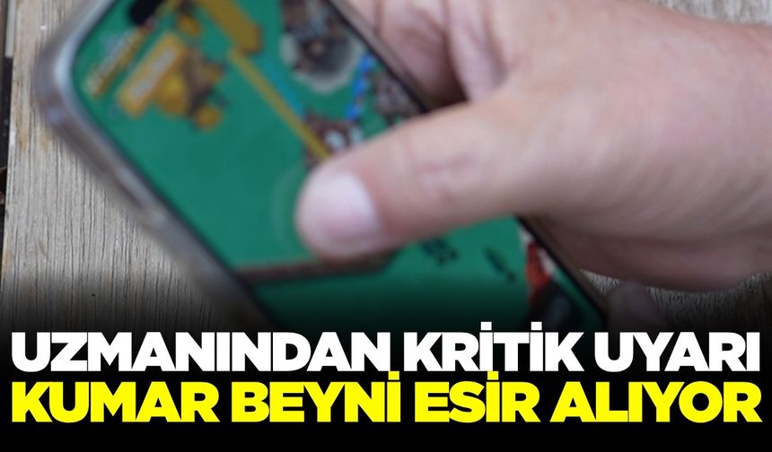 Sanal bahis ve kumar bir beyin hastalığıdır