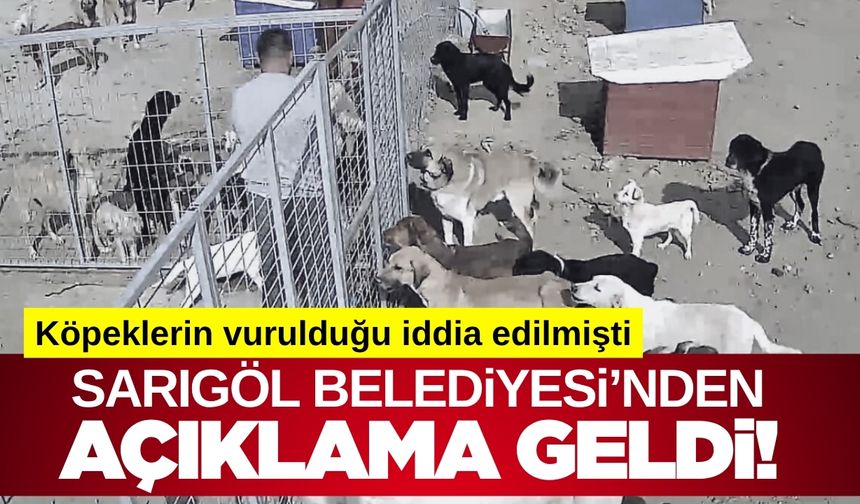 Sarıgöl Belediyesi’nden Sokak Köpeklerinin Toplanma Sürecine İlişkin Açıklama
