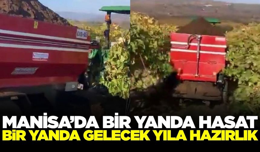 Sarıgöl'de bağlarda gelecek yılın çalışmaları başladı