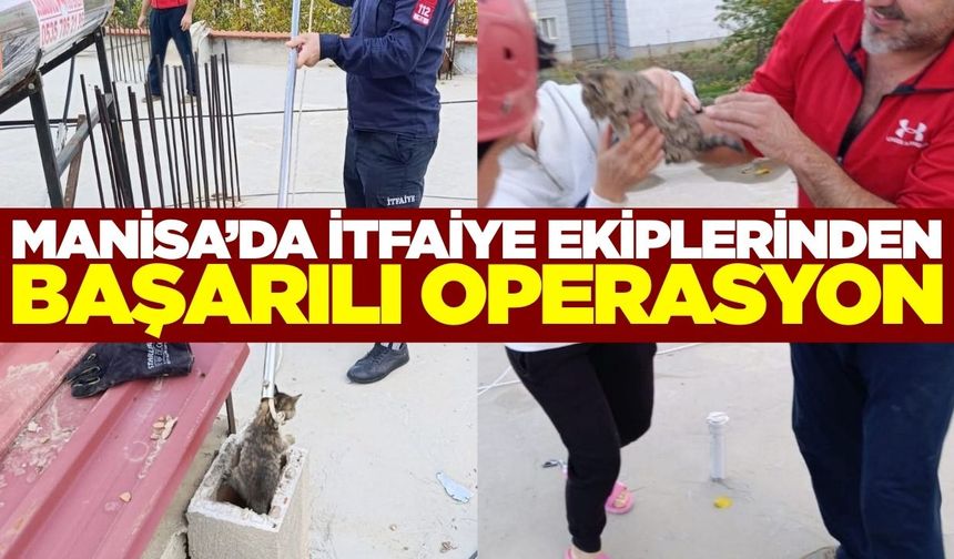 Sarıgöl'de itfaiyeden kedi kurtarma operasyonu
