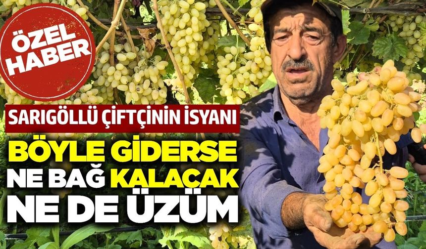 Sarıgöllü çiftçi isyan etti: Nerede bu Milletvekilleri