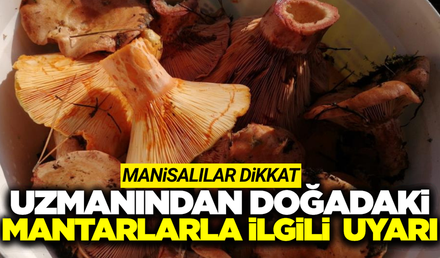 Manisa'da uzmanından mantar zehirlenmelerine karşı hayati uyarılar!