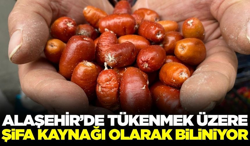 Bir zamanların vazgeçilmezi artık pazarda bile zor bulunuyor!