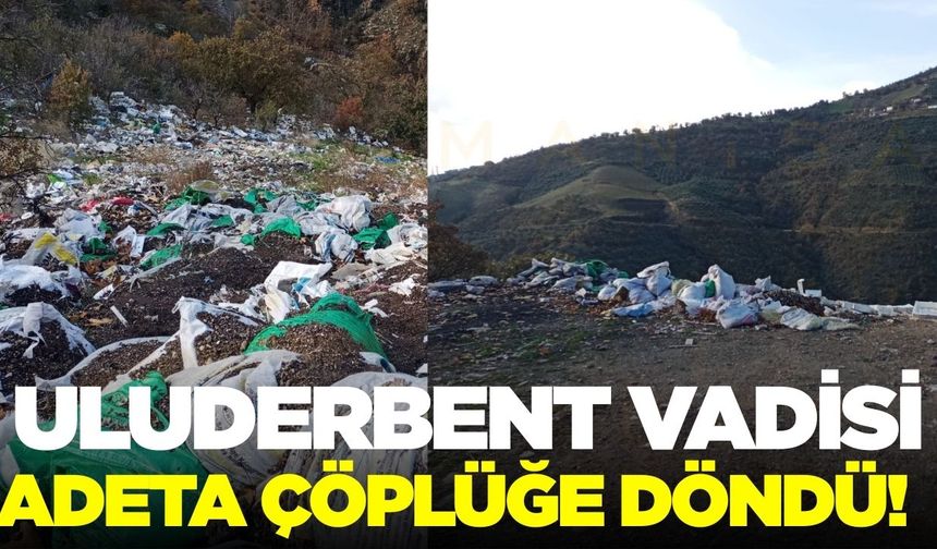 Uluderbent'te tepki çeken görüntü!