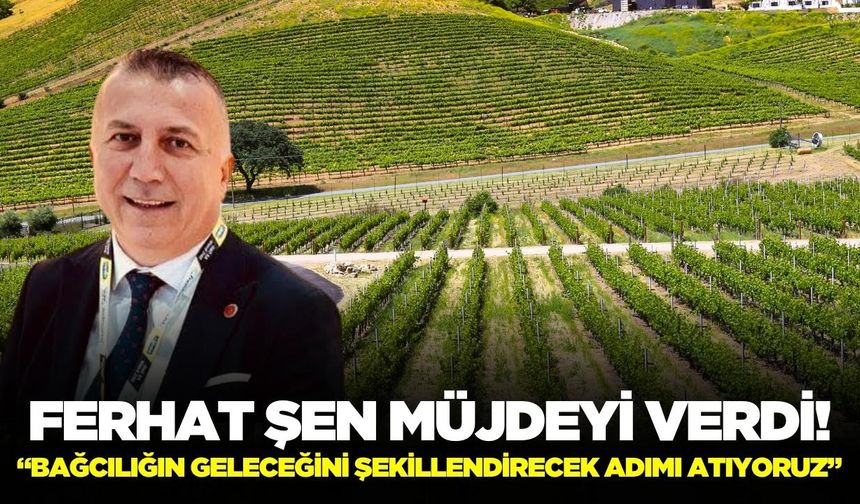 TARİŞ Üzüm Birliği Başkanı Şen, “Proje, üzümün geleceği için büyük fırsat"
