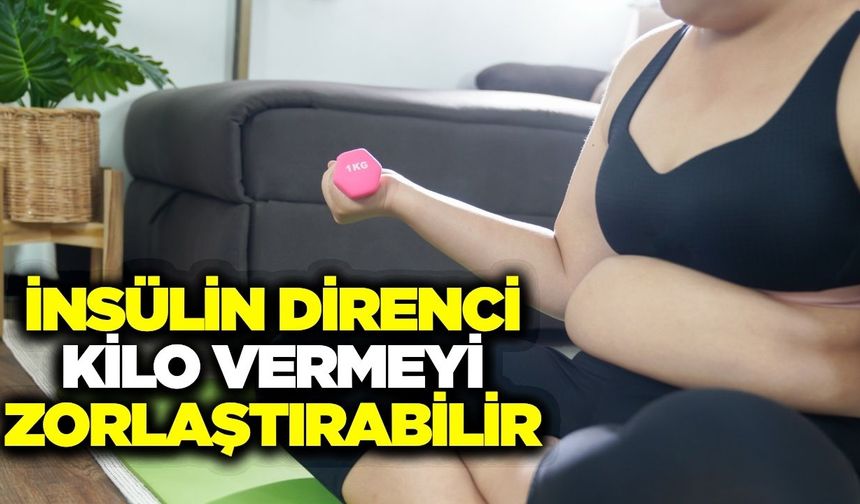 Rafine karbonhidratlar insülin direncini tetikliyor