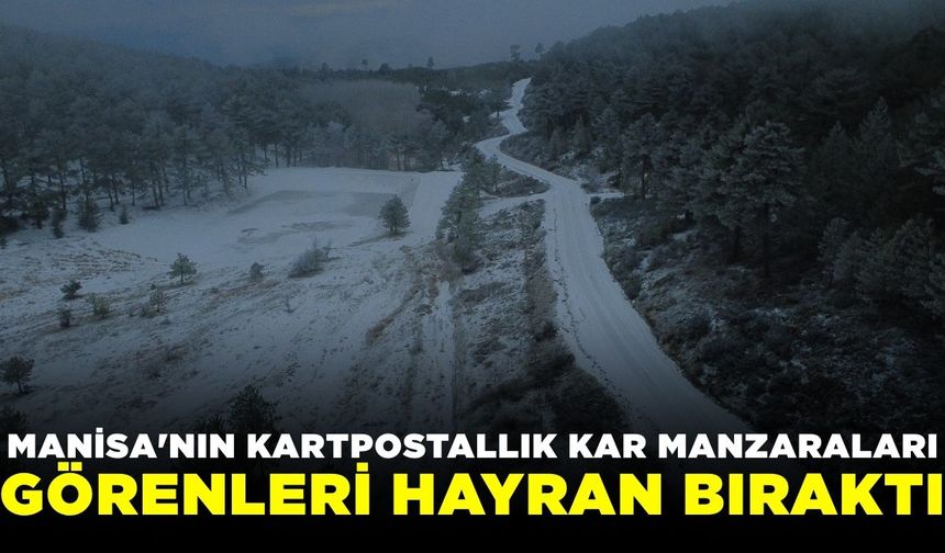 Manisa'dan kartpostallık kar manzaraları!