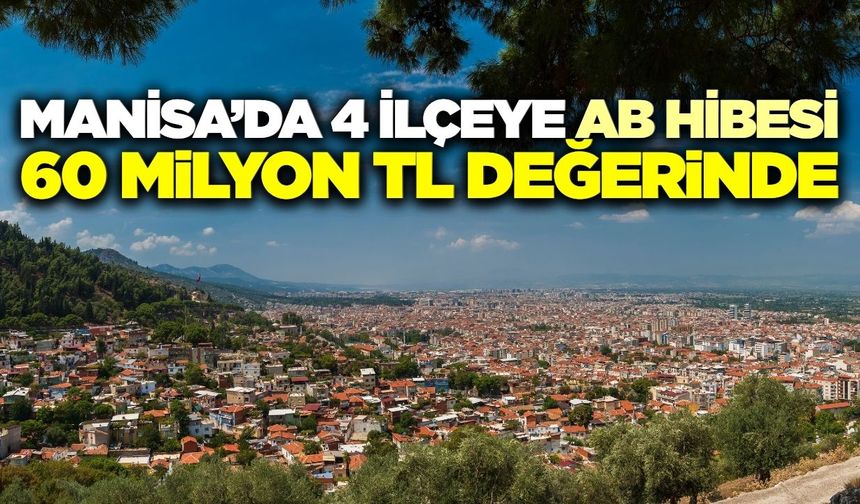 Manisa'ya 60 milyon TL'lik AB hilesi