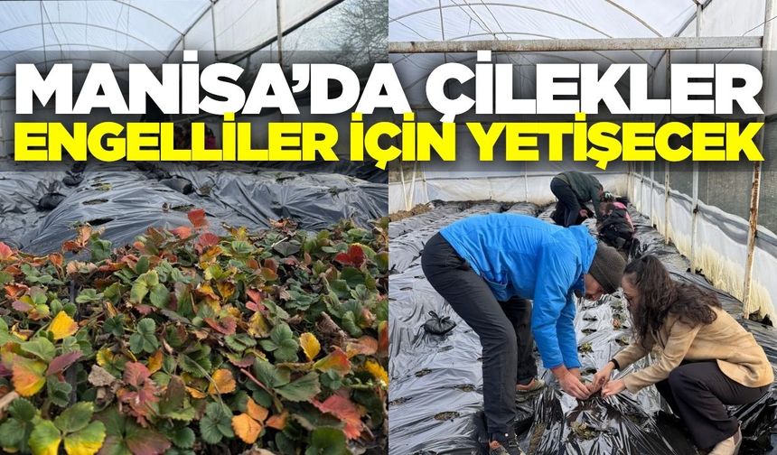 Manisa'da örnek proje: 'Sevgimizi Seramızda Büyütüyoruz'