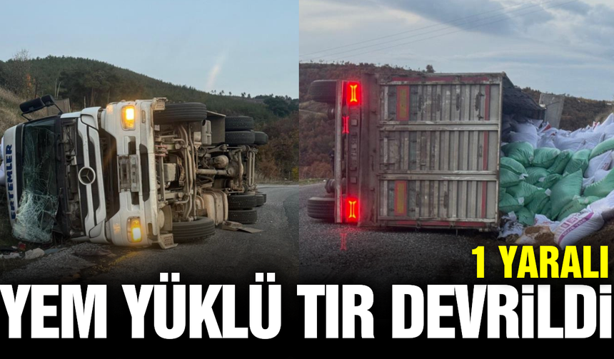 Manisa'da virajı alamayan tır devrildi: 1 yaralı