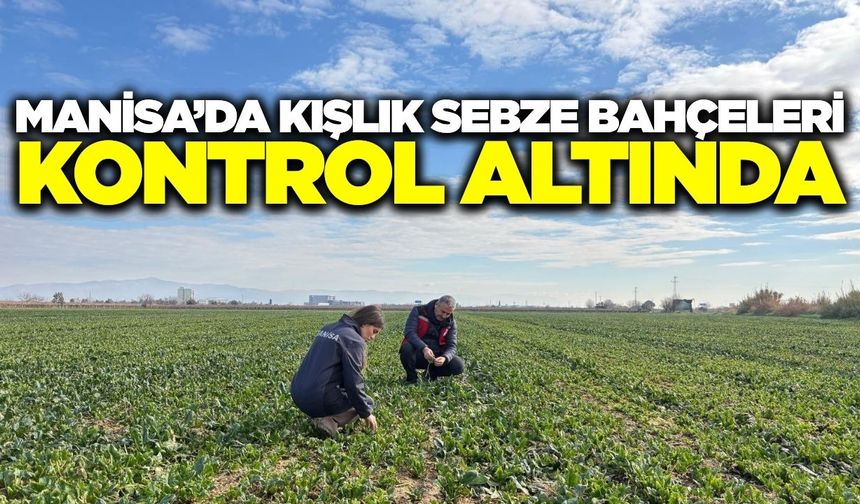 Manisa'da tarım alanlarında sıkı denetim!