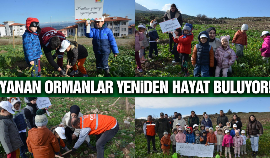 Manisa’da 100 bininci fidan toprakla buluştu