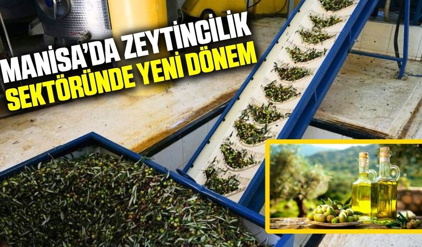 Manisa'da zeytin atık sularının geri dönüşümü için önemli adım