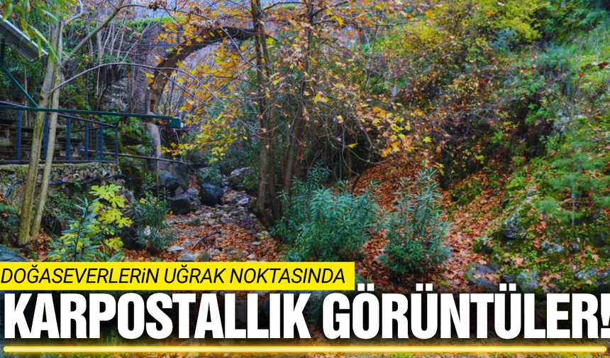 Manisalıların uğrak noktasında görsel şölen!