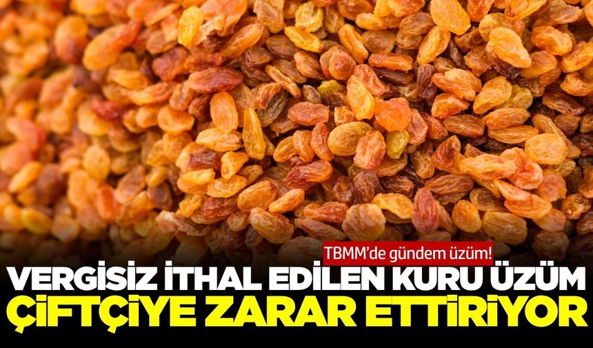 Mecliste kuru üzüm gündemi! Çiftçi perişan...