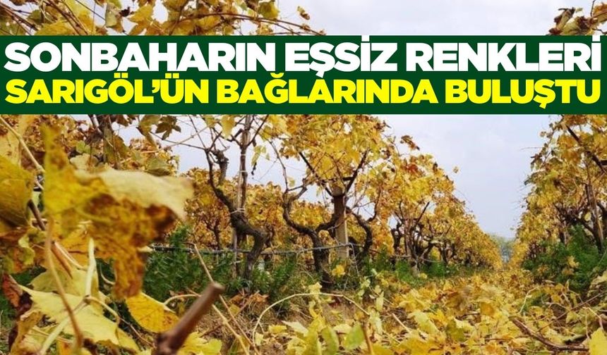 Sarıgöl'de muhteşem görüntüler eşliğinde budama mesaisi