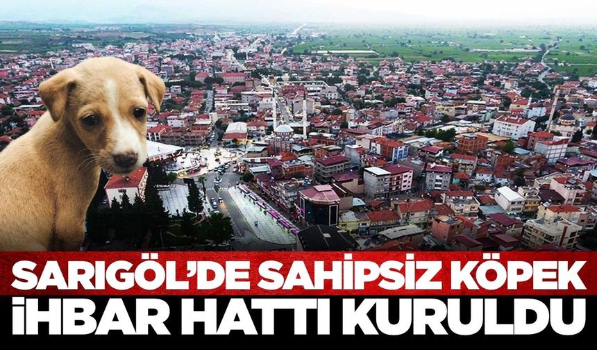 Sarıgöl'de sahipsiz köpekler için ihbar hattı kuruldu