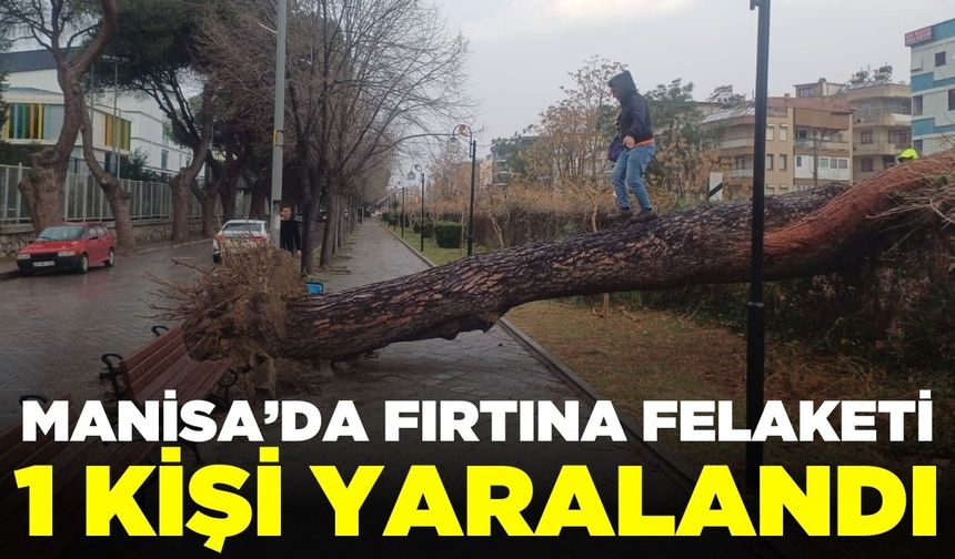 Salihli'de ağaçlar devrildi, çatılar uçtu!