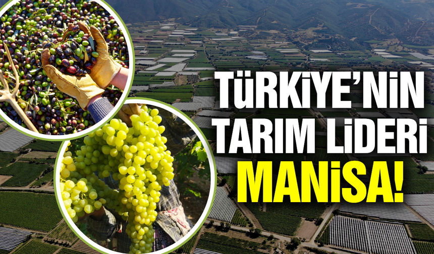 Manisa tarımda liderliği kaptı!