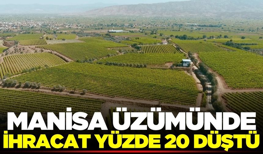 Manisa üzümünde ihracat yüzde 20 düştü