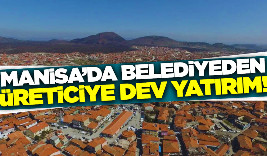 Manisa'nın ilçesinde zeytin üreticisine dev destek!
