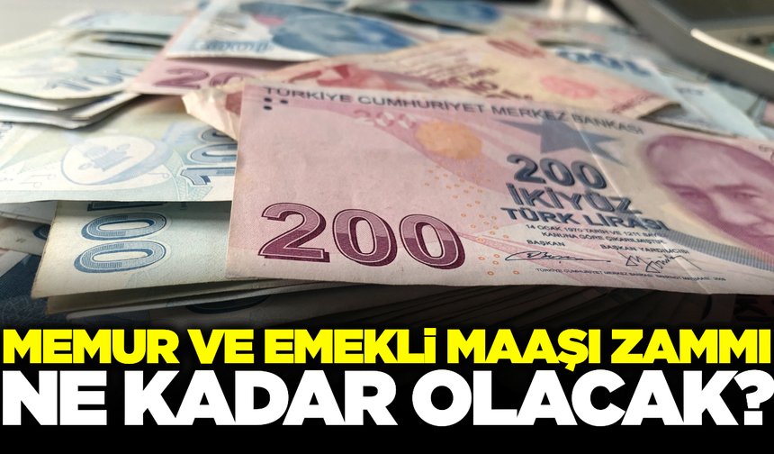 Memur ve emekli zammı için geri sayım başladı