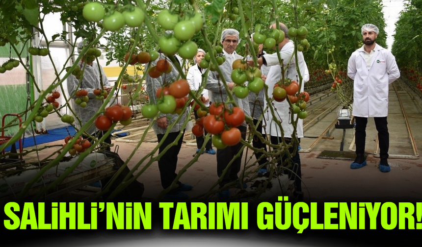 Salihli’de sera yatırımları ve üretim kapasitesi değerlendirildi